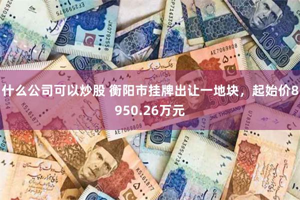 什么公司可以炒股 衡阳市挂牌出让一地块，起始价8950.26万元