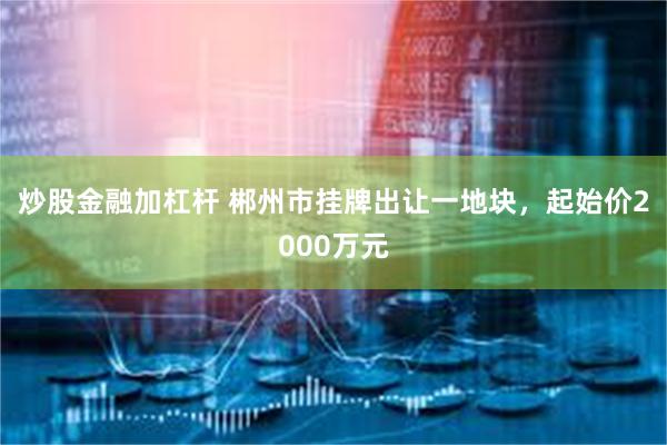 炒股金融加杠杆 郴州市挂牌出让一地块，起始价2000万元