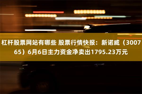 杠杆股票网站有哪些 股票行情快报：新诺威（300765）6月6日主力资金净卖出1795.23万元