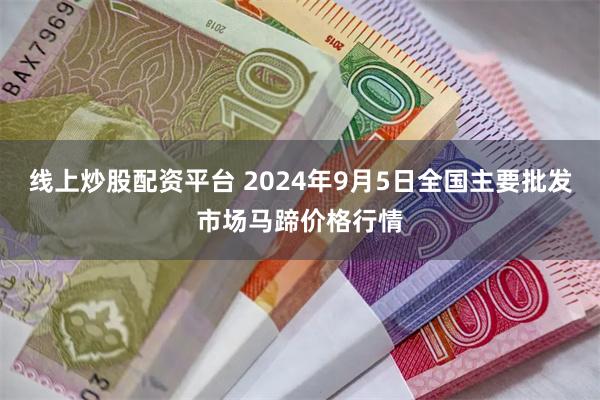 线上炒股配资平台 2024年9月5日全国主要批发市场马蹄价格行情